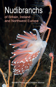 Nudibranchs of Britain, Ireland and Northwest Europe (Second Edition) by Bernard Picton, Christine Morrow, 9780691208794