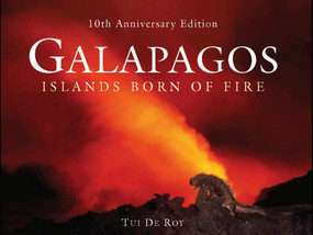 Galápagos (Islands Born of Fire - 10th Anniversary Edition) by Tui De Roy, 9780691146379