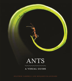 Ants (A Visual Guide) by Heather Campbell, Benjamin Blanchard, 9780691228525