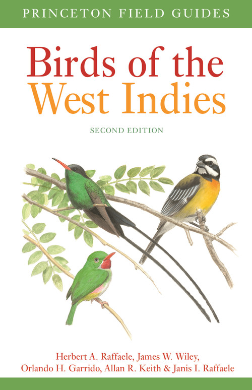 Birds of the West Indies Second Edition by Herbert A. Raffaele, James Wiley, Orlando H. Garrido, Allan Keith, Janis I. Raffaele, 9780691180519
