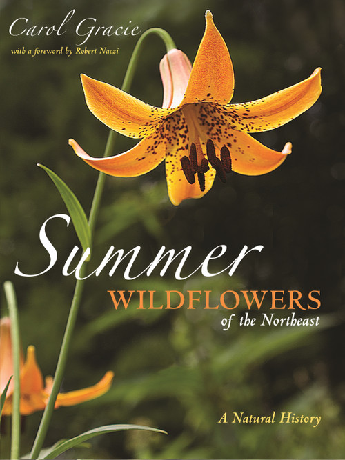 Summer Wildflowers of the Northeast (A Natural History) by Carol Gracie, 9780691199344