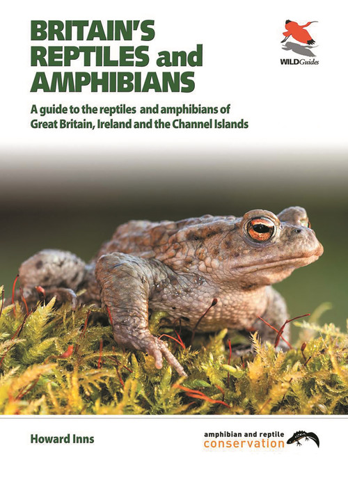 Britain's Reptiles and Amphibians (A guide to the reptiles and amphibians of Great Britain, Ireland and the Channel Islands) by Howard Inns, Chris Packham, 9781903657256