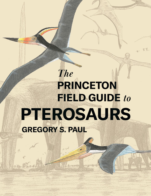 The Princeton Field Guide to Pterosaurs by Gregory S. Paul, 9780691180175