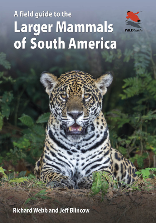 A Field Guide to the Larger Mammals of South America by Richard Webb, Jeff Blincow, 9780691174099