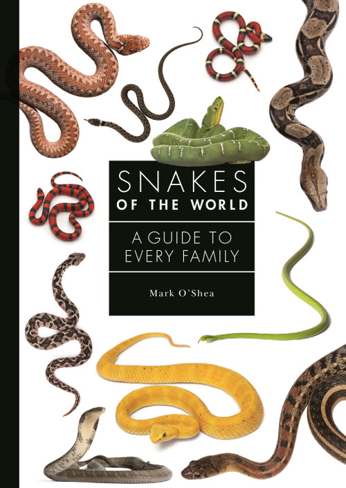 Snakes of the World (A Guide to Every Family) by Mark O'Shea, 9780691240664