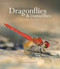 Dragonflies and Damselflies (A Natural History) by Dennis Paulson, 9780691180366