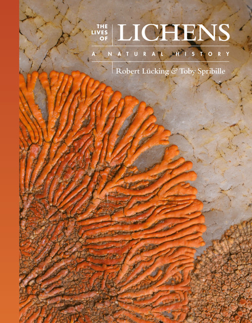 The Lives of Lichens (A Natural History) by Robert Lücking, Toby Spribille, 9780691247274