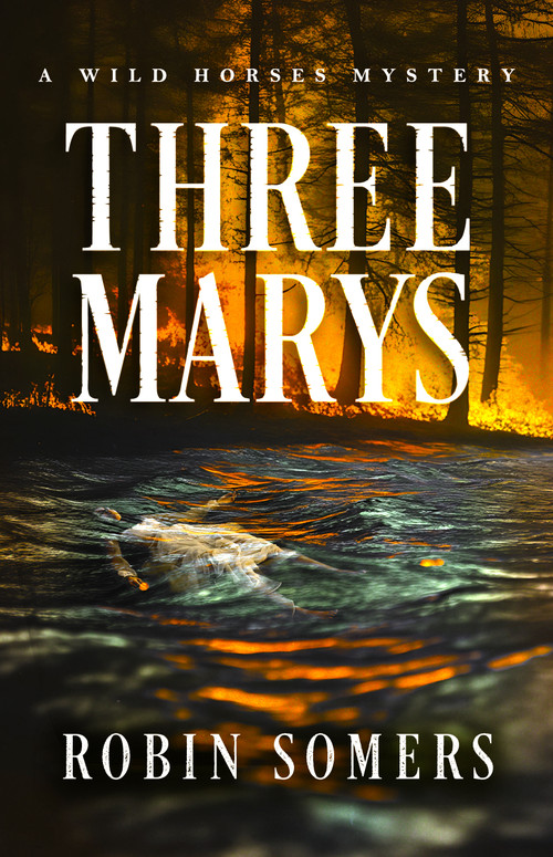 Three Marys (A Wild Horses Mystery) by Robin Somers, 9798897400102