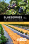 Blueberries by Jorge B Retamales, James F Hancock, 9781780647265