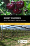 Sweet Cherries by Lynn E Long, Gregory A Lang, Clive Kaiser, 9781786398284
