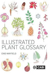Illustrated Plant Glossary by Enid Mayfield, 9781800620674