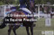 ECG Interpretation in Equine Practice by Katharyn Mitchell, 9781789240825