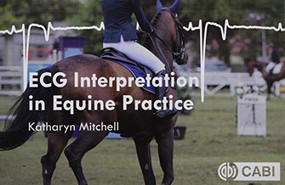 ECG Interpretation in Equine Practice by Katharyn Mitchell, 9781789240825