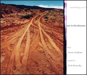 something out there in the distance by Grant Faulkner, Gail Butensky, 9780826368584