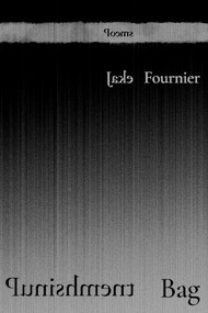 Punishment Bag (Poems) by Jake Fournier, 9780826369222