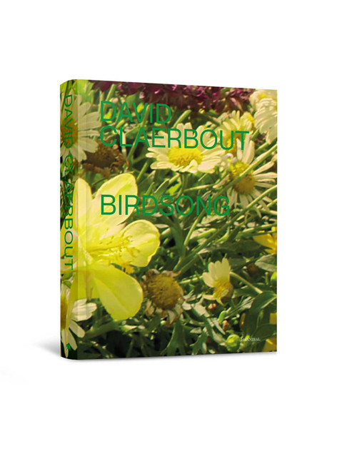 Birdsong (Dutch; Flemish Edition) by David Claerbout, 9789493416154