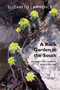 A Rock Garden in the South by Elizabeth  Lawrence, Nancy Goodwin, Allen Lacy, 9780822357759