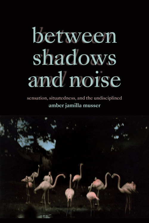 Between Shadows and Noise (Sensation, Situatedness, and the Undisciplined) by Amber Jamilla Musser, 9781478025832