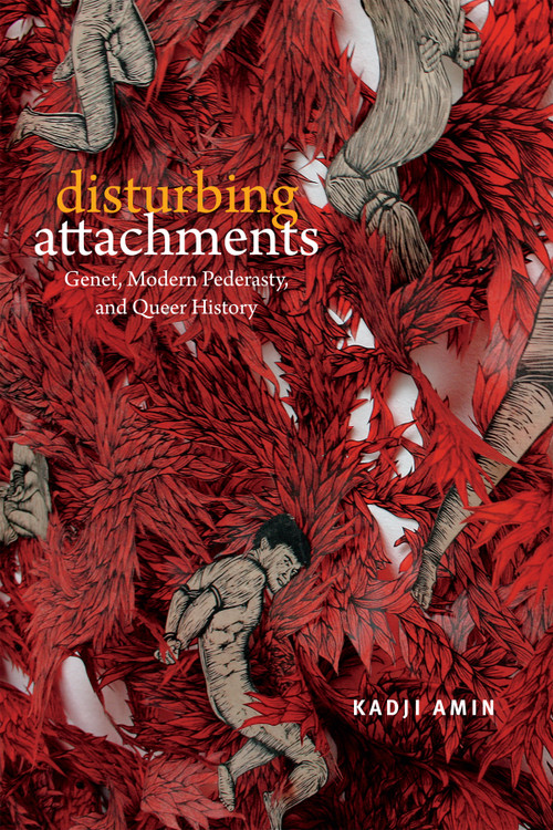 Disturbing Attachments (Genet, Modern Pederasty, and Queer History) by Kadji Amin, 9780822369172