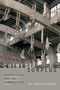 Chinese Surplus (Biopolitical Aesthetics and the Medically Commodified Body) by Ari Larissa Heinrich, 9780822370536