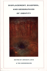 Displacement, Diaspora, and Geographies of Identity by Smadar Lavie, Ted Swedenburg, 9780822317203