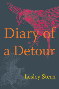 Diary of a Detour by Lesley Stern, 9781478009672