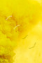 Breathing Aesthetics by Jean-Thomas Tremblay, 9781478018865