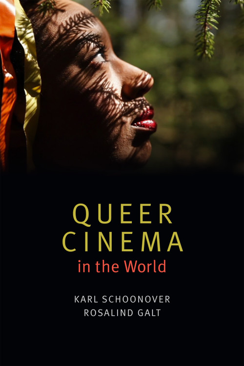 Queer Cinema in the World by Karl Schoonover, Rosalind Galt, 9780822362616