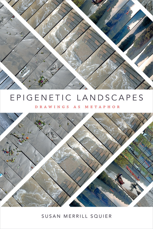 Epigenetic Landscapes (Drawings as Metaphor) by Susan  Merrill Squier, 9780822368724