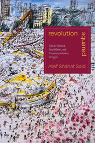 Revolution Squared (Tahrir, Political Possibilities, and Counterrevolution in Egypt) by Atef Shahat Said, 9781478025504