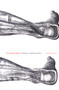 The Body Multiple (Ontology in Medical Practice) by Annemarie Mol, 9780822329176