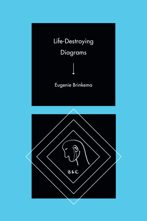 Life-Destroying Diagrams by Eugenie Brinkema, 9781478014348