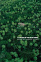In Search of the Rain Forest by Candace Slater, 9780822332183