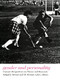 Gender and Personality (Current Perspectives on Theory and Research) by Abigail J. Stewart, M. Brinton Lykes, 9780822302629