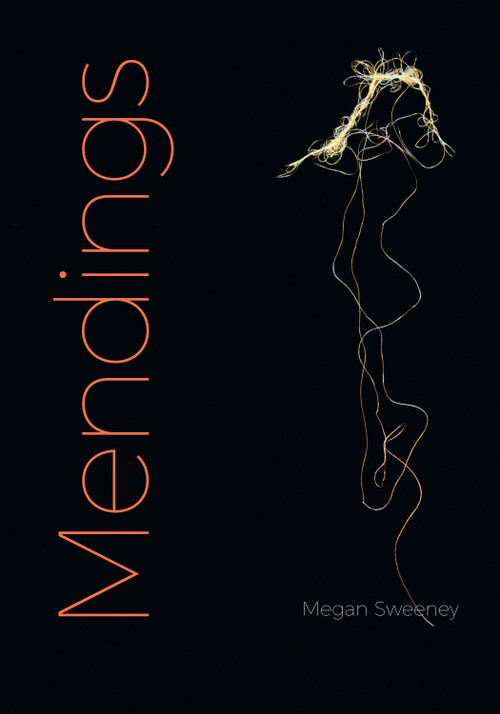 Mendings by Megan Sweeney, 9781478019107