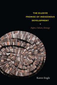 The Elusive Promise of Indigenous Development (Rights, Culture, Strategy) by Karen Engle, 9780822347699