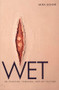 Wet (On Painting, Feminism, and Art Culture) by Mira Schor, 9780822319153