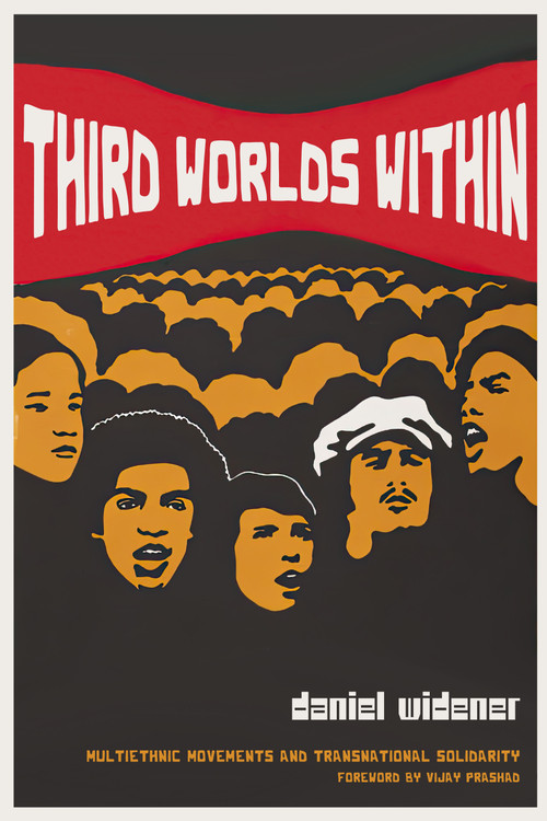 Third Worlds Within (Multiethnic Movements and Transnational Solidarity) by Daniel Widener, Vijay    Prashad, 9781478030164