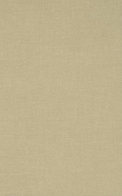 The Search for the Codex Cardona by Arnold Bauer, 9780822345961