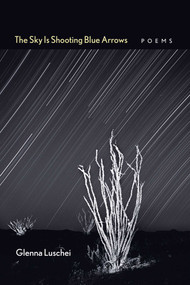 The Sky Is Shooting Blue Arrows (Poems) by Glenna Luschei, Noel Woodward, 9780826354938