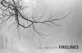 Firelines by Jill Metcoff, Curt Meine, 9780826357908