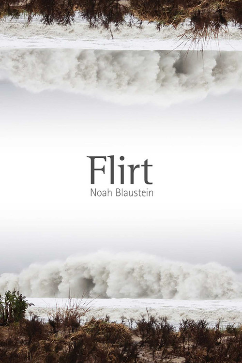 Flirt by Noah Blaustein, 9780826353832