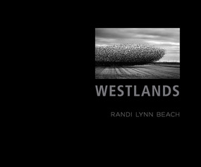 Westlands (A Water Story) by Randi Lynn Beach, Thomas Holyoke, Li Yiyun, 9780826358363
