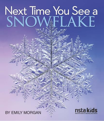 Next Time You See a Snowflake by Emily Morgan, 9781681409900