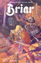 Briar Vol. 2 by Christopher Cantwell, Alex Lins, 9798892150781