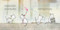 Flowers for Mama by Deborah Freedman, Deborah Freedman, 9780593695494