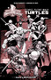 Mighty Morphin Power Rangers/Teenage Mutant Ninja Turtles B&W Limited Edition by Ryan Parrott, Simone Di Meo, 9781684156788