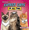 Cutest Cats of All Time - 9798875256509 by Mari Bolte, 9798875256509