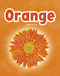 Orange - 9798875271588 by April R. Hugh, 9798875271588