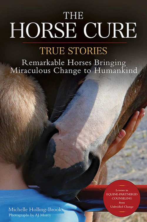 Horse Cure (Remarkable Horses Bringing Miraculous Change to Humankind) by Michelle Holling-brooks, 9781570769368